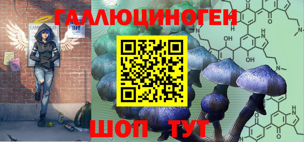 наркотики  Псилоцибиновые грибы ЛСД  Псилоцибиновые грибы Psilocybine cubensis  Вход с VPN  Братск 
