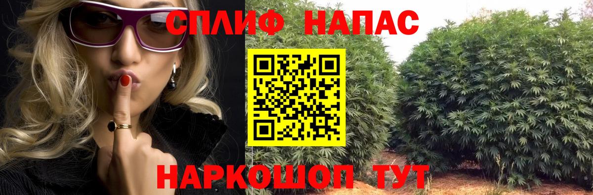 Каннабис планчик  Шишки марихуана семена  Бошки марихуана марихуана  Братск  Конопля ГИДРОПОН  Вход с VPN 
